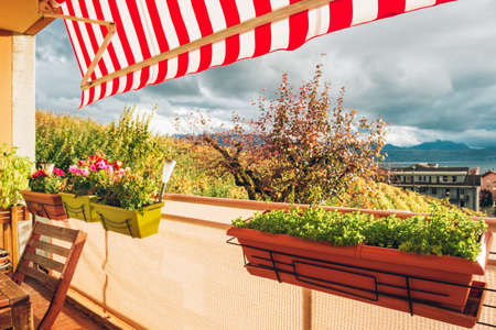 Bright and cozy balcony with many potted plantsの写真素材