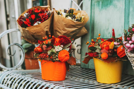 Colorful autumn flower bouquets decorated with chestnut and pumpkinの写真素材