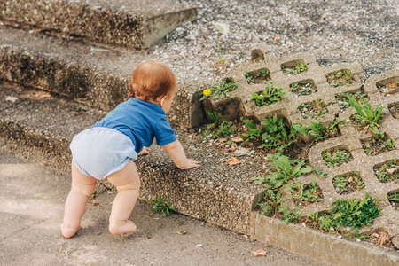 Adorable baby boy climbing up the stairs in the park, back viewの写真素材