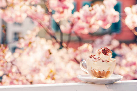 Cup of cappuccino on the balcony with beautiful view of blooming spring flowersの写真素材