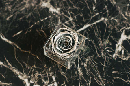 Silver painted durable rose in a transparent box posed on black marble surfaceの写真素材