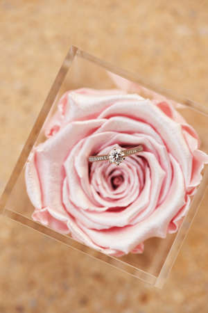 Beautiful engagement ring posd inside of pink metal colored roseの写真素材