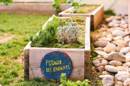 Wooden box with Rosemary, french sign Potager des enfants - children's vegetable garden. Small garden in kindergardenの写真素材