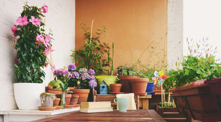Cozy summer balcony with many potted plants, cup of tea and old vintage bookの写真素材