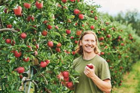 Outdoor portrait of handsome young man harvesting apples in fruit orchard