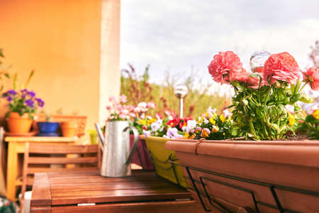 Colorful flowers growing in boxes hanging on balcony fenceの写真素材