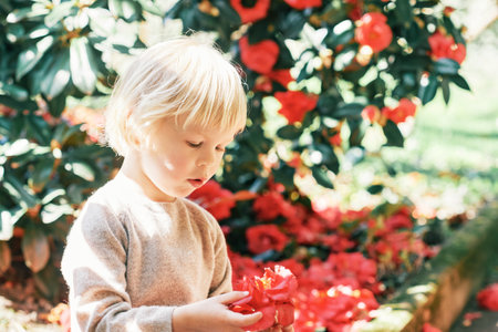 Outdoor portrait of sweet child playing with red camellia flower
