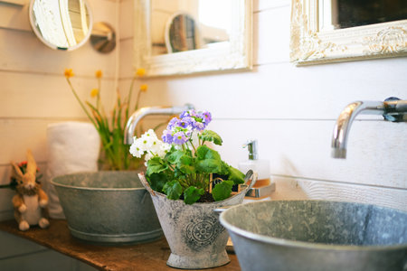 White and purple primrose flowers growing in pot placed as decoration in retro vintage bathroomの写真素材