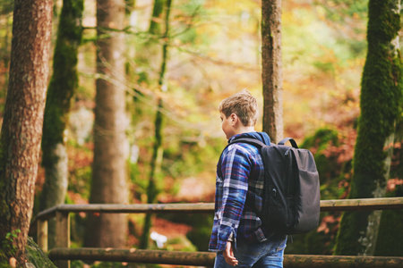 Outdoor portrait of happy kid boy hiking in autumn forest, wearing backpack, back viewの写真素材