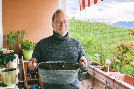 Portrait of middle aged man planting seedlings on the balcony, small cozy garden in apartmentの写真素材