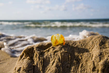 Amber in the sand against the background of sea waves and skyの写真素材