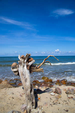 An old tree on the shore of the blue sea. Stones, wood, sea and sky. Beautiful sea landscapeの写真素材