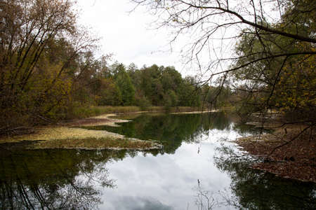 The shore of the lake in the autumn forest. Autumn landscape.の写真素材