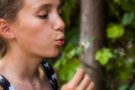 Fun with dandelions a girl blows on a dandelionの写真素材