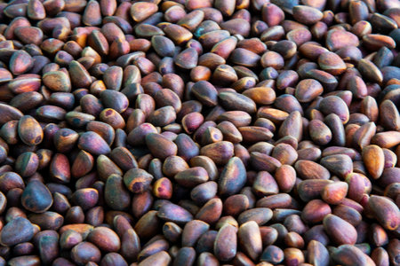 Pine nuts. Close-up of nuts from Siberian pine cones. Nuts in their shells. Proper nutritionの写真素材