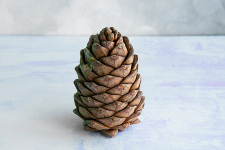 A lump of cedar, covered with nuts. Siberian pine cone. Brown big pine cone on the tableの写真素材