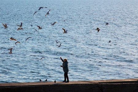Woman on the beach feeding gulls. Seagulls circle the silhouette of a woman. Dawn by the seaの写真素材