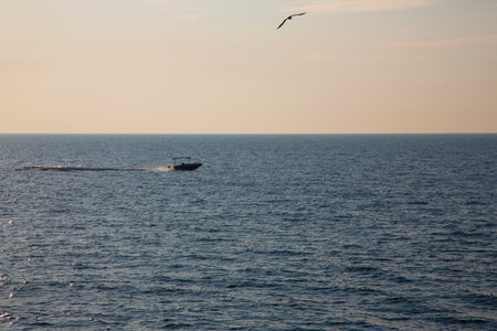 Motorboat sailing in the sea at high speed. A seagull hovers over the boat. Sea fishing at dawnの写真素材