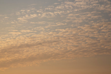 Clouds at sunset in silvery beige tones. Cirrus clouds in the sky, eveningの写真素材