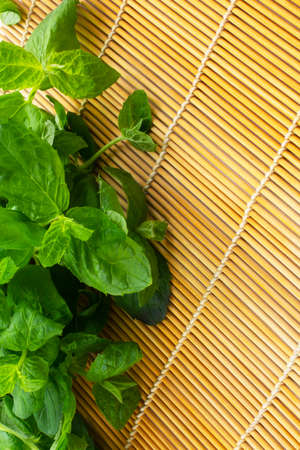 Fresh mint on wooden table copy space. Selective focusの写真素材