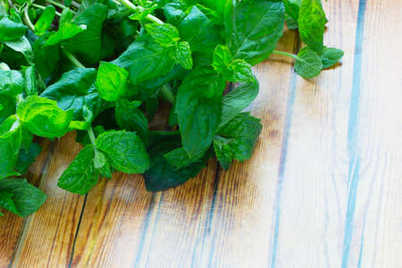 Fresh mint on wooden table copy space. Selective focusの写真素材