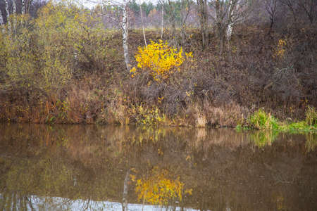 Autumn colors. Autumn time. Colorful fallen leaves in the lake.の写真素材