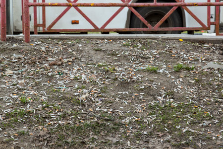 There are a lot of Cigarette butts on the ground. Pollution of nature.の写真素材