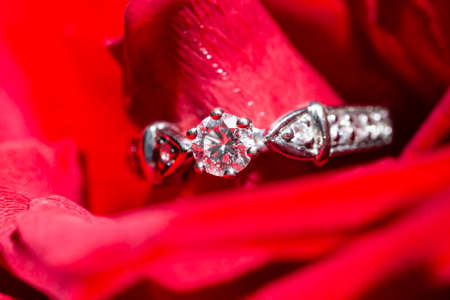 white gold ring with diamonds in red rose petals, macroの写真素材