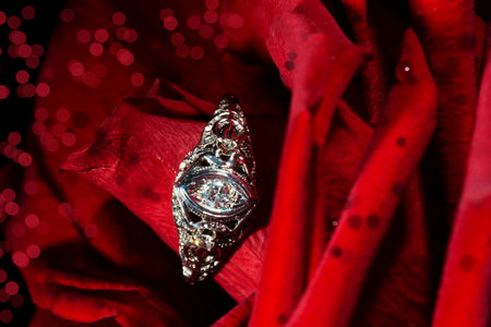 Platinum Ring With A Diamond On A Red Rose, close-up Hearts Arrowsの写真素材