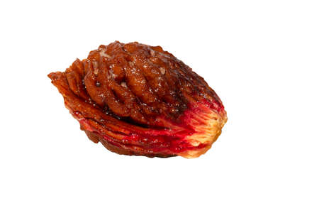 macro photography of bright peach stones - top viewの写真素材