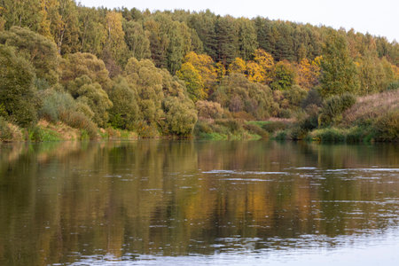 A beautiful autumn day on the river bank. Autumn background.の写真素材