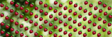 Colorful pattern of wild strawberries on a green blurred background. concept - packaging or...