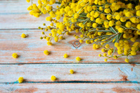 Mimosa or silver-yellow spring flowers on a wooden table.の写真素材