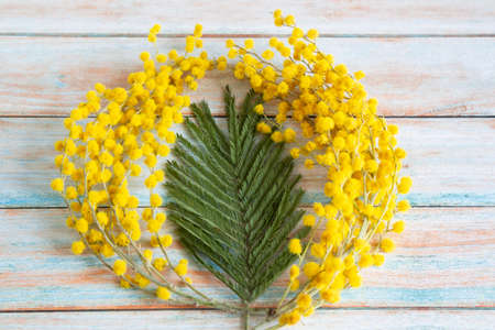 close-up two branches of yellow flowers of silver acacia surround a green leaf on a wooden backgroundの写真素材