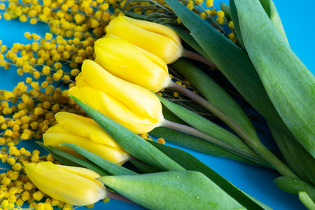 Bright spring bouquet of tulips and mimosa flowers.の写真素材