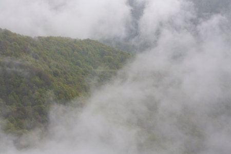 Spring green mountains in clouds and fog. The concept is to be above the clouds. mysterious...