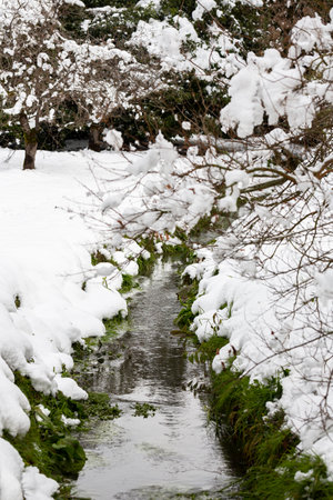 Early spring landscape in the forest, a stream flows between the green snow-covered grass after a snowfall, selective focus, spring backgroundの写真素材