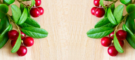 Cranberry berries close-up. Lingonberries in a basket on wooden background.の写真素材