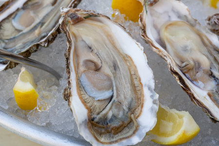 Fresh oysters on the halves of the shell are served in a plate with ice, lemons and sauce. The...