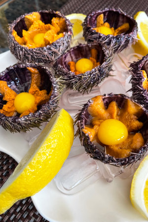 Sea urchin dish with quail egg and soy sauce.の写真素材