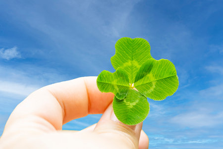 four-leaf clover against the sky in a woman's hand, close-up
