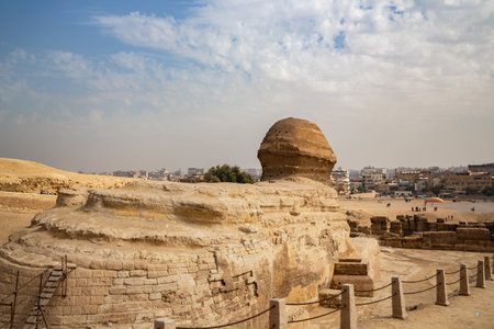 Sphinx Egypt portrait. Portrait of the Great Sphinx of Egypt close. Egypt, Giza. side view, rear...