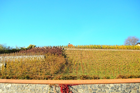 Autumn Prague with the view of Troja vineyardの写真素材