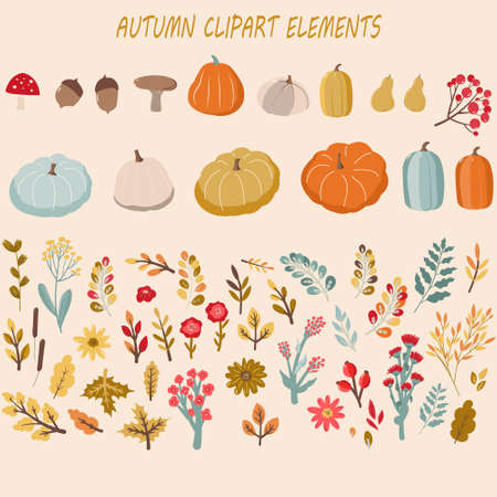 Autumn set, hand drawn elements, fall leaves, pumpkins and other.のイラスト素材