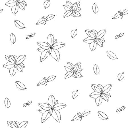 Basil Seamless Pattern. Italian herbs.A sprig of marjoram. Basil is a fragrant and fragrant seasoning. Hand-drawn illustration.のイラスト素材