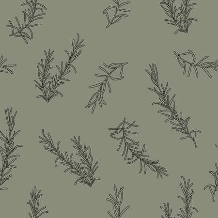 Seamless food herbs vector background, rosemary hand drawn pattern. Vector illustrationのイラスト素材