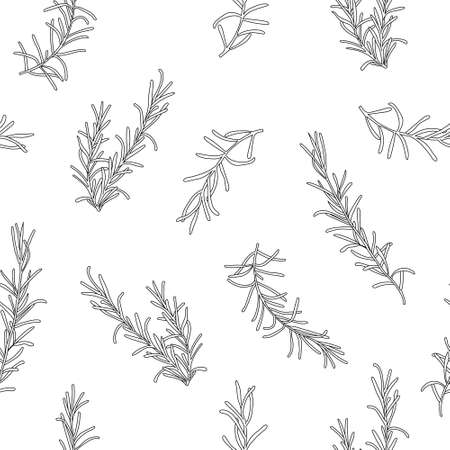 Seamless food herbs vector background, rosemary hand drawn pattern. Vector illustrationのイラスト素材