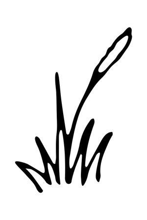 Vector isolated element. Illustration with grass. Gardening. Hand drawn doodle.のイラスト素材