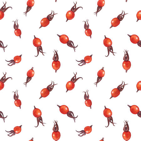 Seamless pattern with berries and leaves of rosehip. Watercolor illustration. The print is used for Wallpaper design, fabric, textile, packaging.の写真素材