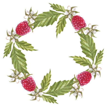 Wreath, frame with branch with berries and raspberry leaves. ... Watercolor illustration.の写真素材